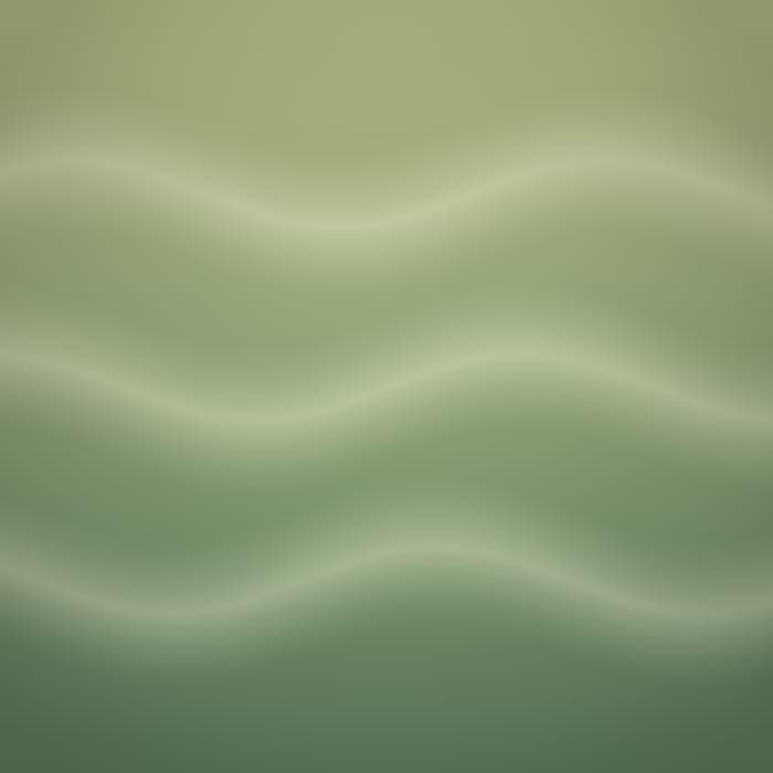曬日子果醬